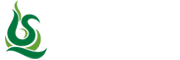 青盛碳业